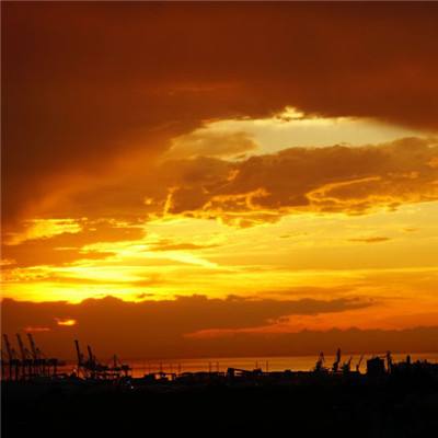 乐发lvapp下载截图